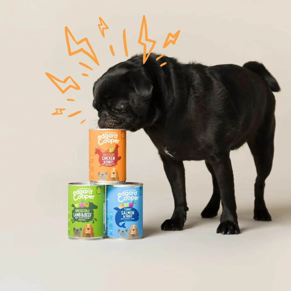 6x Edgard & Cooper Blik Vers Vlees Senior Hondenvoer Kip - Zalm 5 6x Edgard & Cooper Blik Vers Vlees Senior Hondenvoer Kip - Zalm - Afbeelding 3