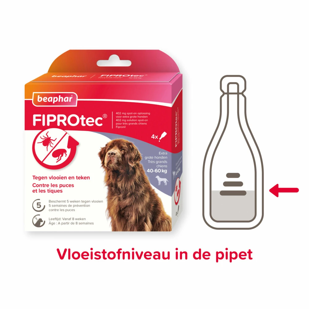 Beaphar Fiprotec Anti Vlooien En Teken Druppels Hond 40 - 60 Kg 4 Beaphar Fiprotec Anti Vlooien En Teken Druppels Hond 40 - 60 Kg - Afbeelding 2