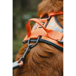 Hurtta Weekend Warrior Harness Zwart -Honden Benodigdheden 996401 2